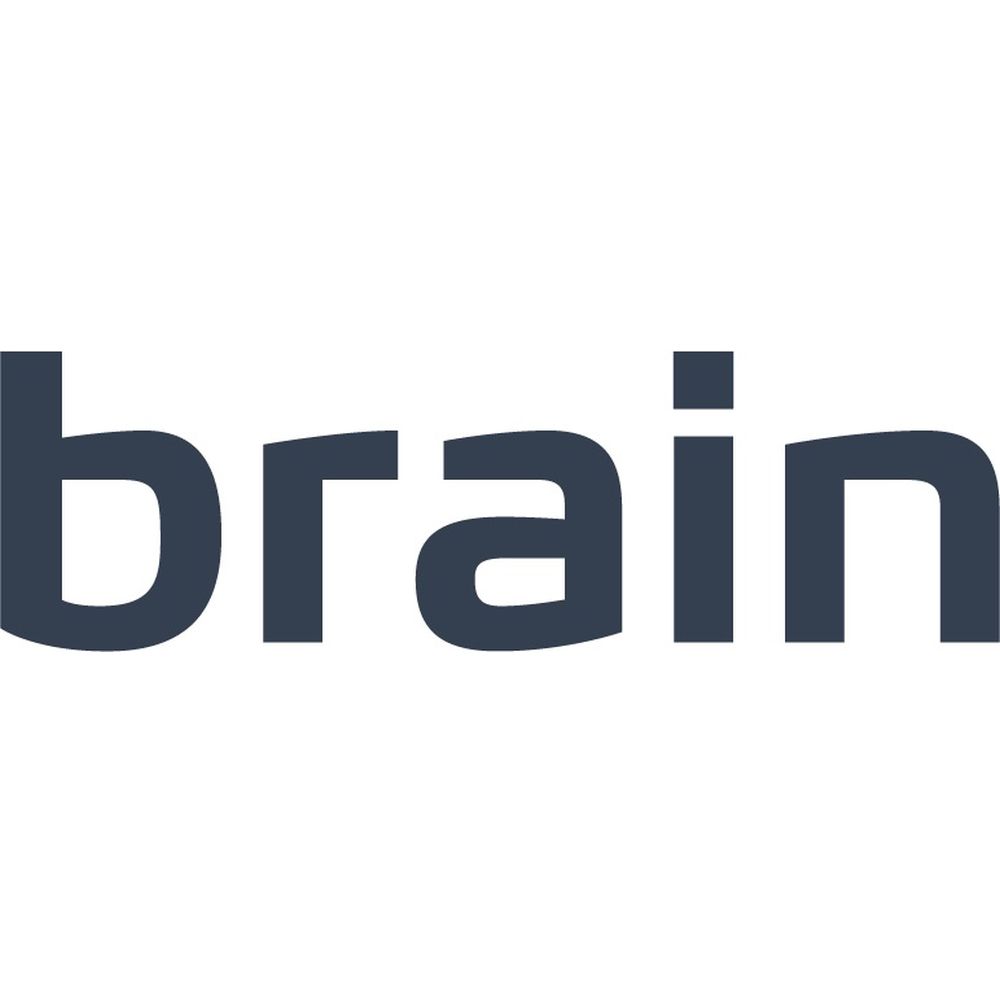 Brain